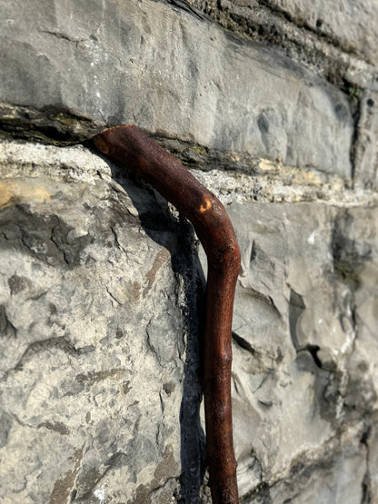 Blackthorn Walking Stick with 45° L Handle – 90 cm (35.4”)