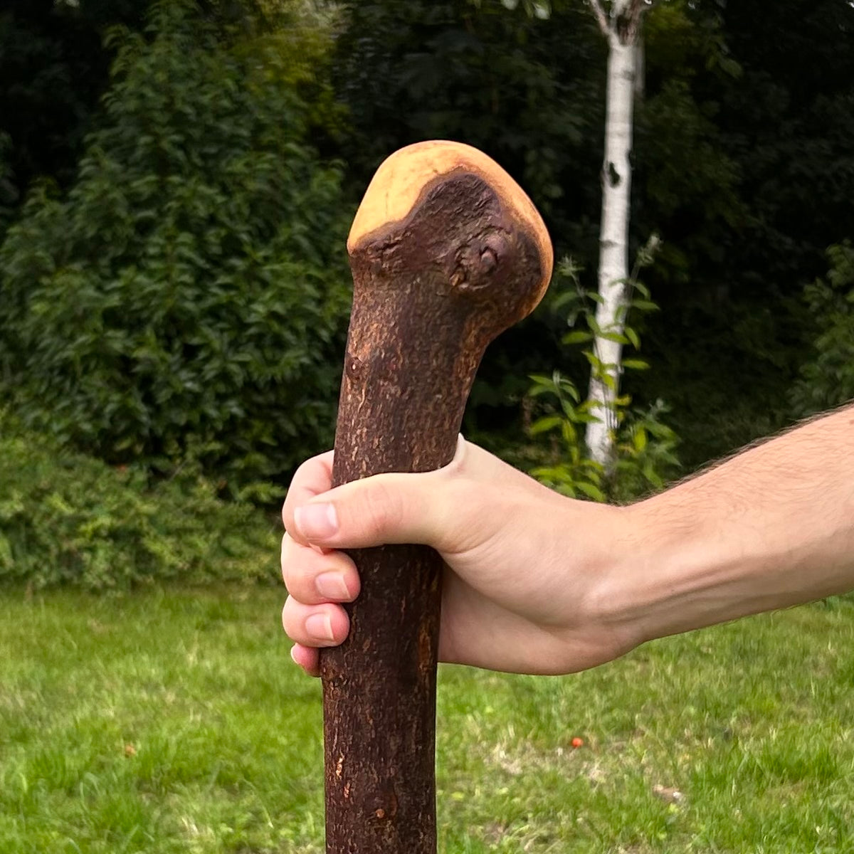 Heavy Chunky Blackthorn Shillelagh Small Knob Stick – 101 cm (39.8”)