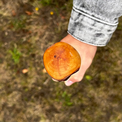 Traditional Blackthorn Shillelagh Small Knob Stick – 100.5 cm (39.6”)