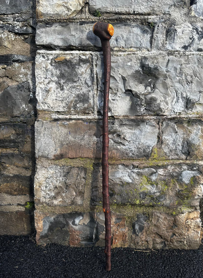 Blackthorn Walking Stick with Tidy Knob Head – 97 cm (38.1”)