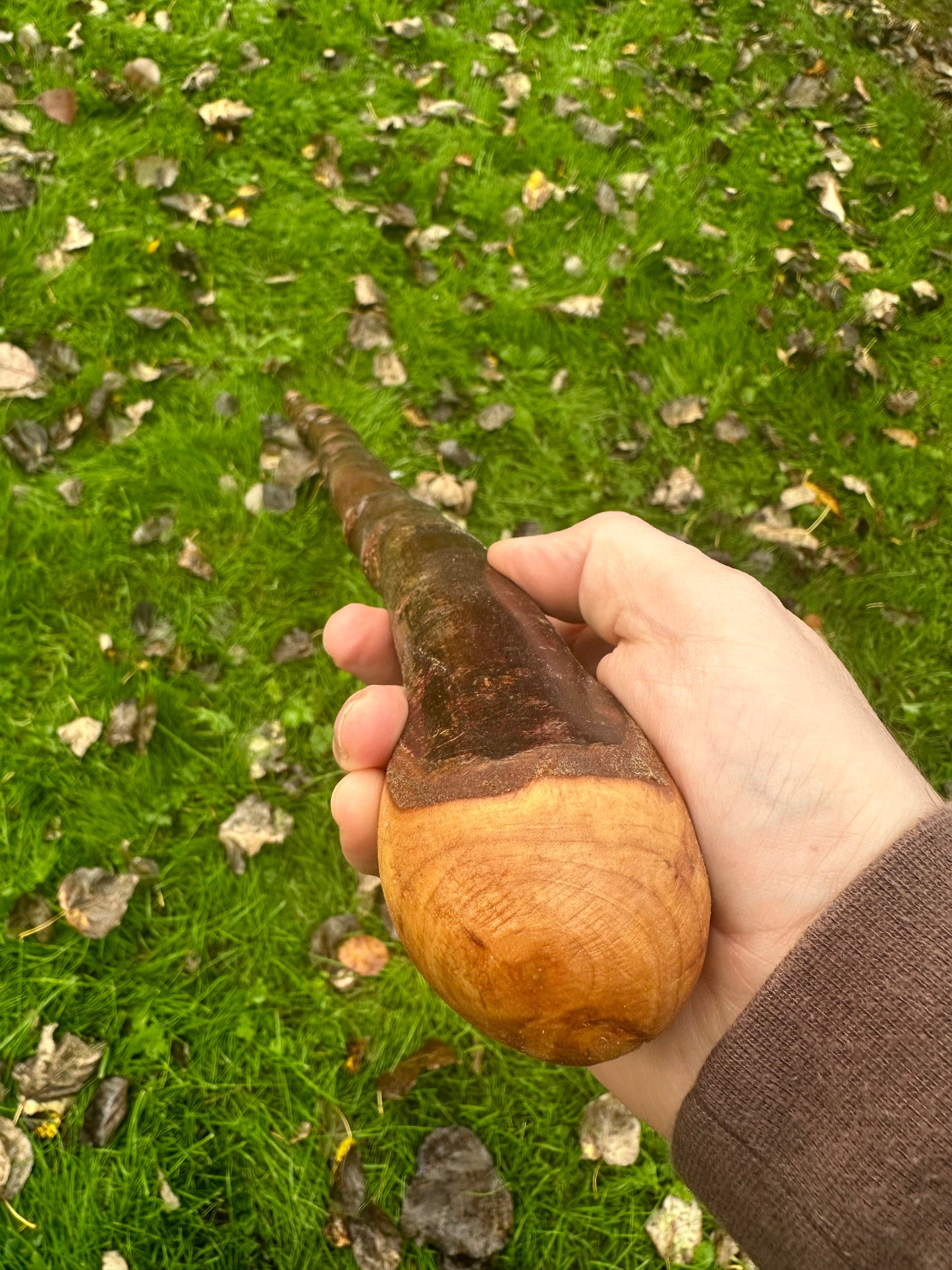 Irish Blackthorn Walking Stick with Knuckles – 40”