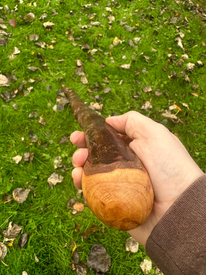 Irish Blackthorn Walking Stick with Knuckles – 40”