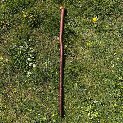 Blackthorn Shillelagh Knob Stick – 96 cm (37.8”)
