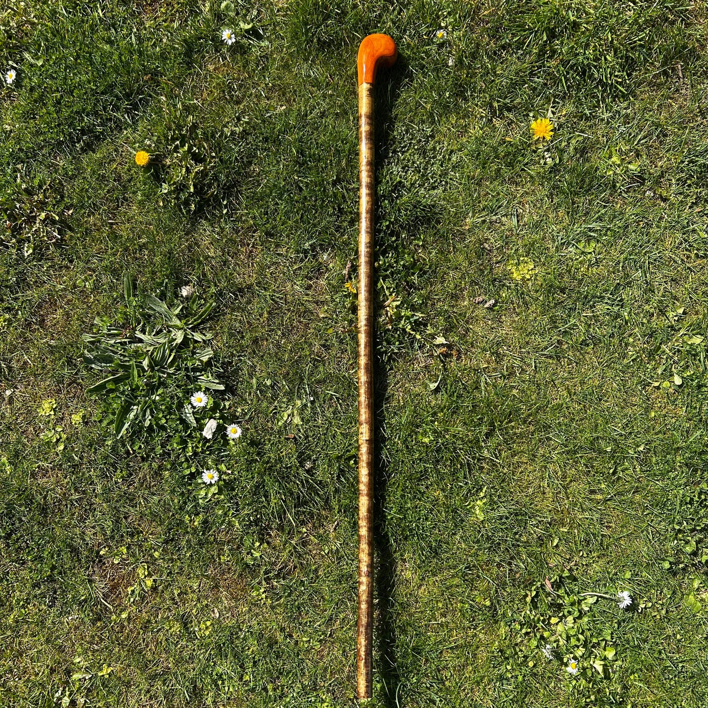 Spalted Beech & Hazel Two-Piece Shillelagh – 103 cm (40.5”)