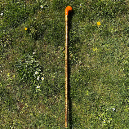 Spalted Beech & Hazel Two-Piece Shillelagh – 103 cm (40.5”)