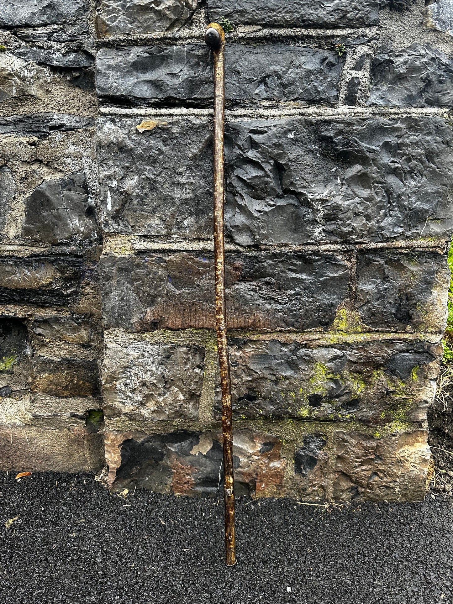 Luxury Hazel Walking Stick with Large Cylindrical Knob Head – 106 cm (41.7”)