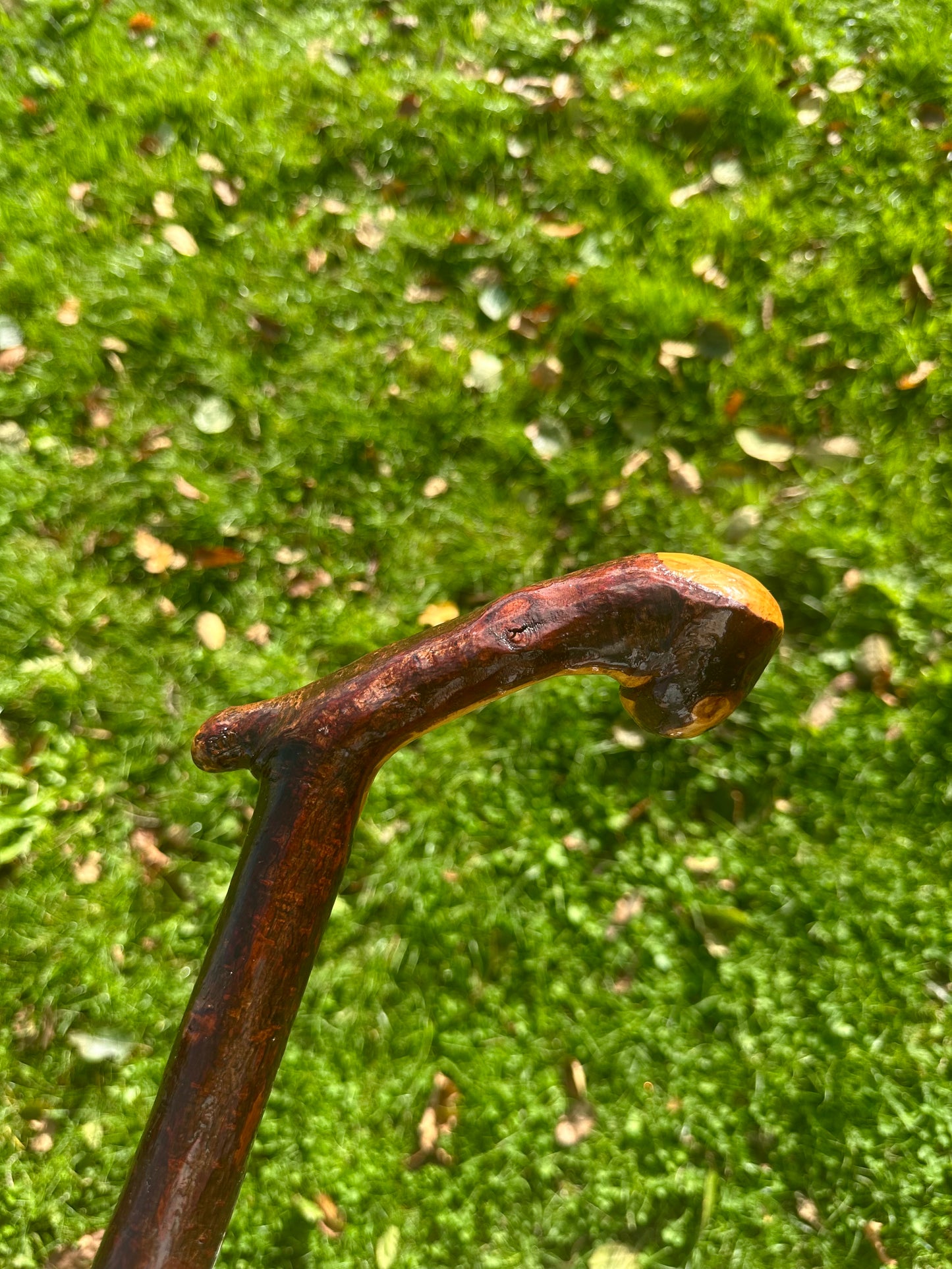 Blackthorn Walking Stick with L Handle and Doorknocker Feature - 120 cm / 47 inches
