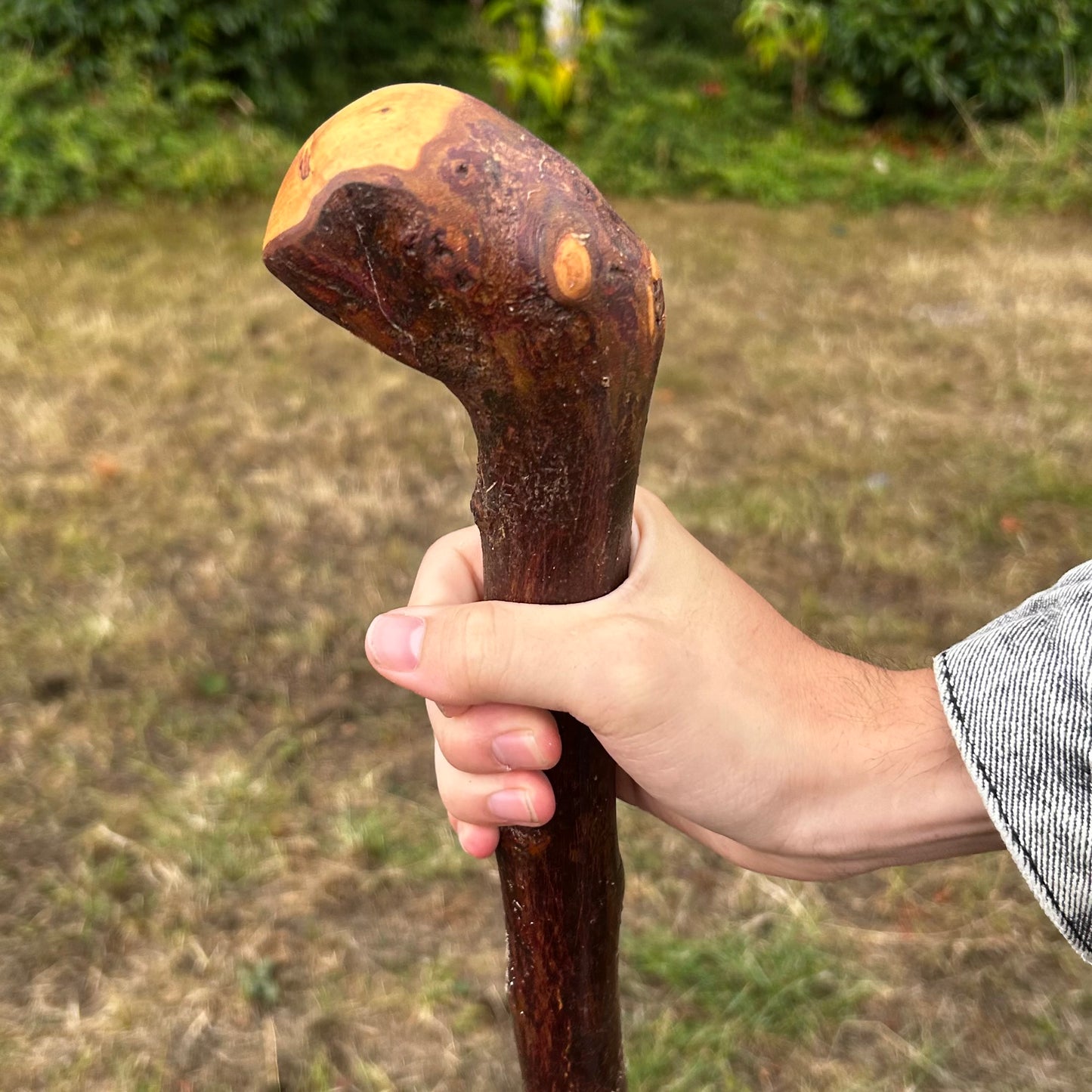 Chunky Knob Blackthorn Shillelagh – 94.3 cm (37.1”)