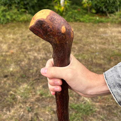 Chunky Knob Blackthorn Shillelagh – 94.3 cm (37.1”)