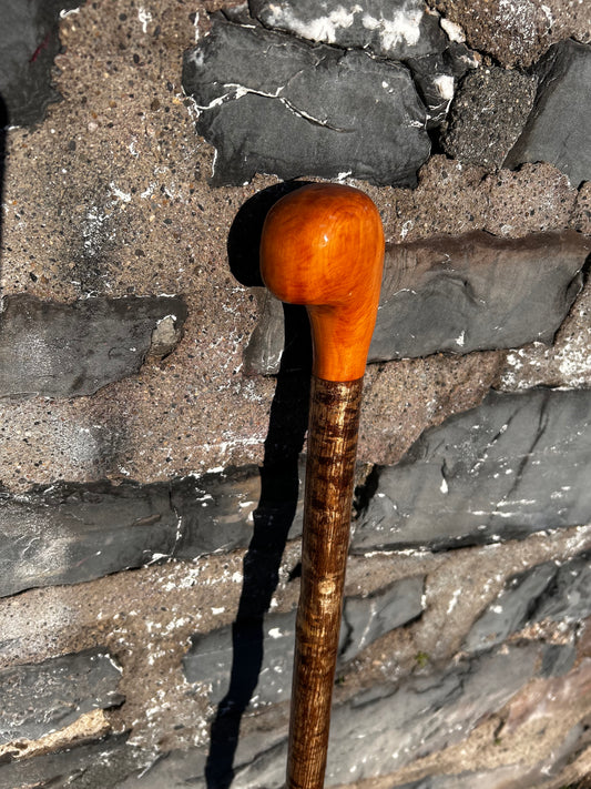 Hazel Walking Stick with Spotted Beech Head – 97 cm (38”)