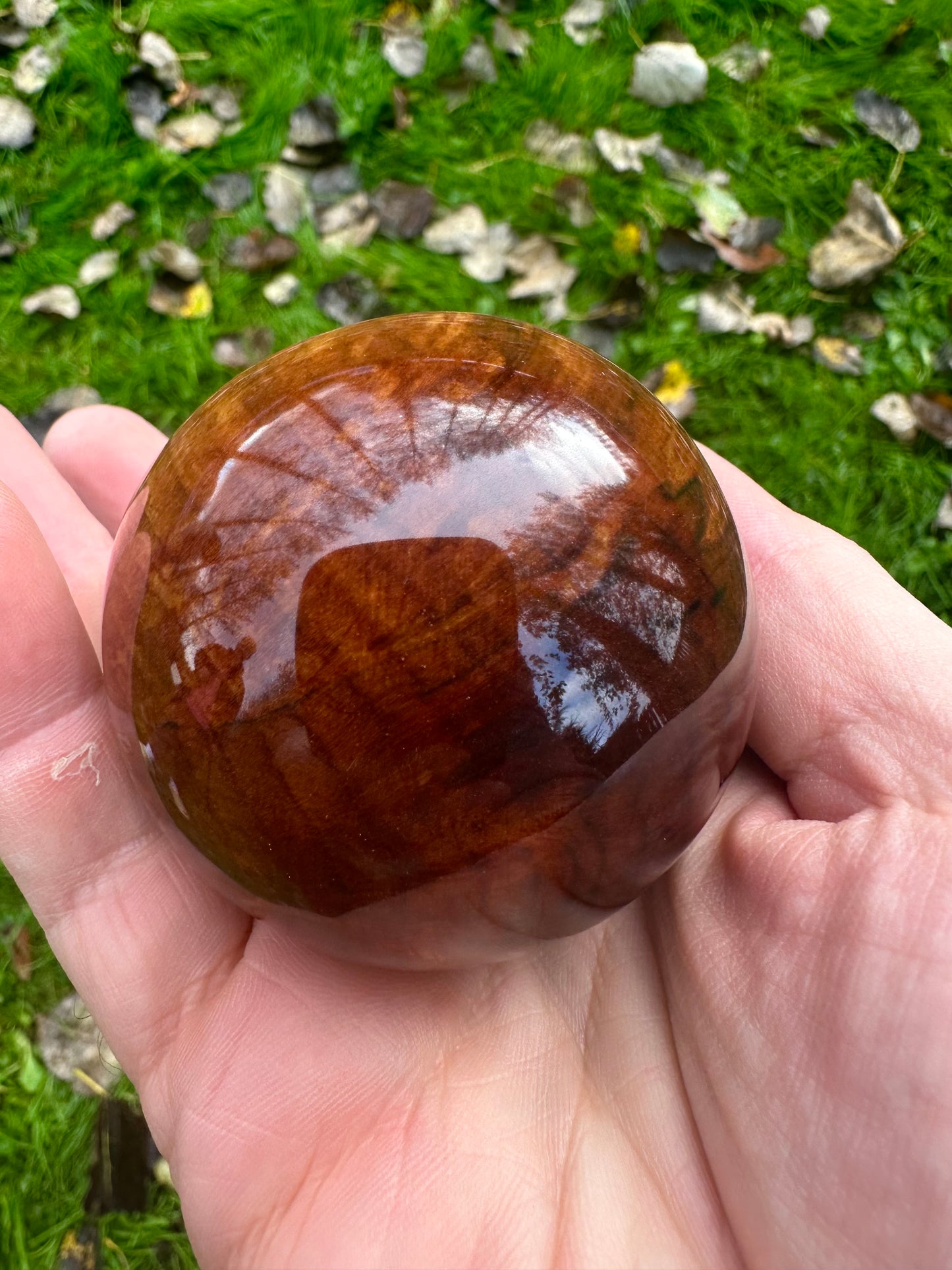 Blackthorn Stick with Spalted Beech Head – 39.5”