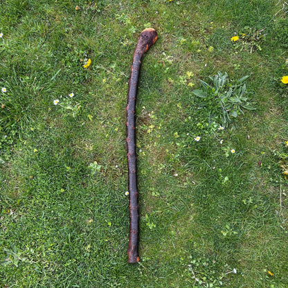 Heavy Gnarly Blackthorn Shillelagh Root Ball Stick – 98 cm (38.5”)