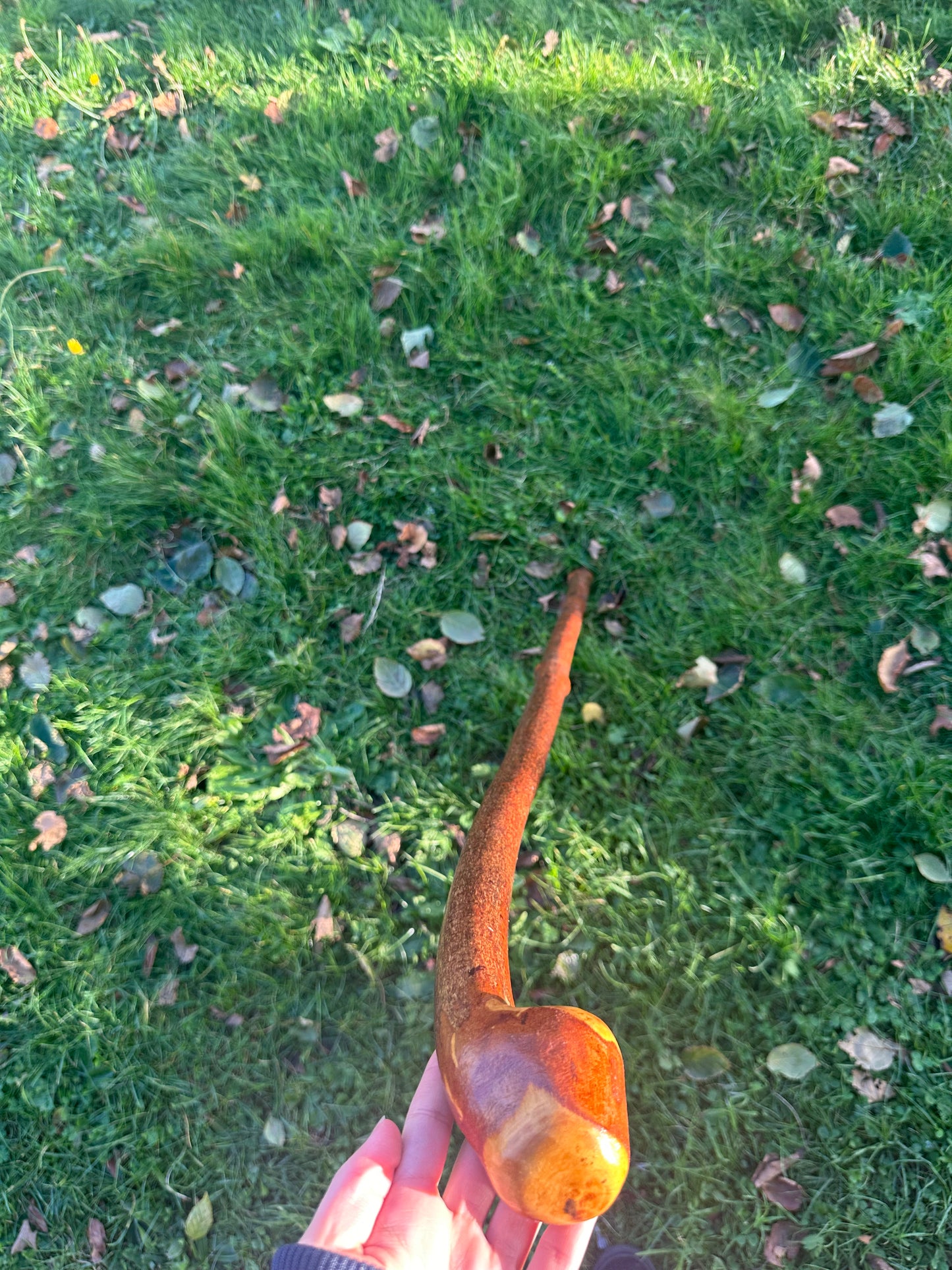 Blackthorn Walking Stick with Grip Handle – 95cm