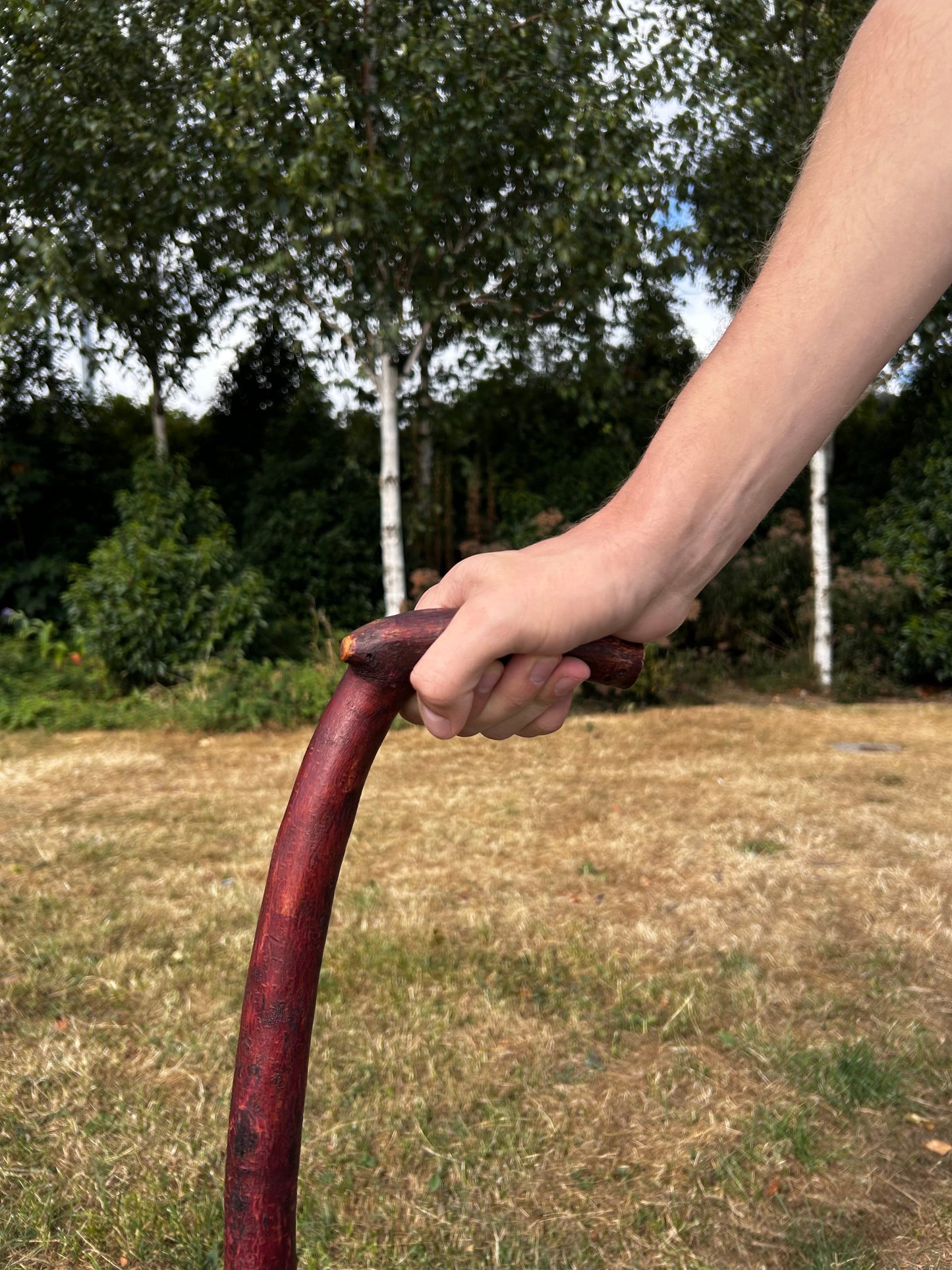 Light Blackthorn Shillelagh L Handle – 91 cm (35.8”)