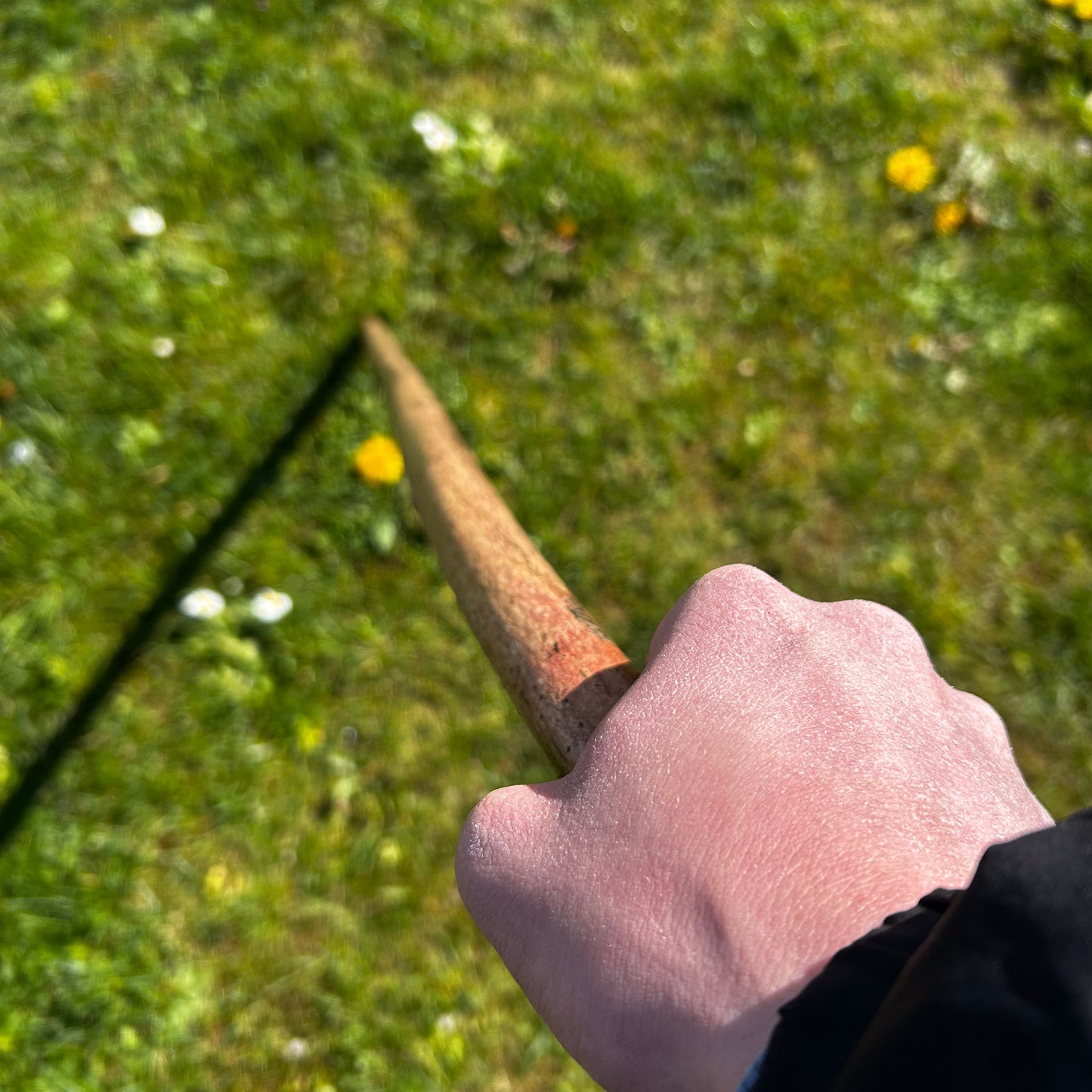 Hazel Shillelagh Knob Stick – 103 cm (40.5”)
