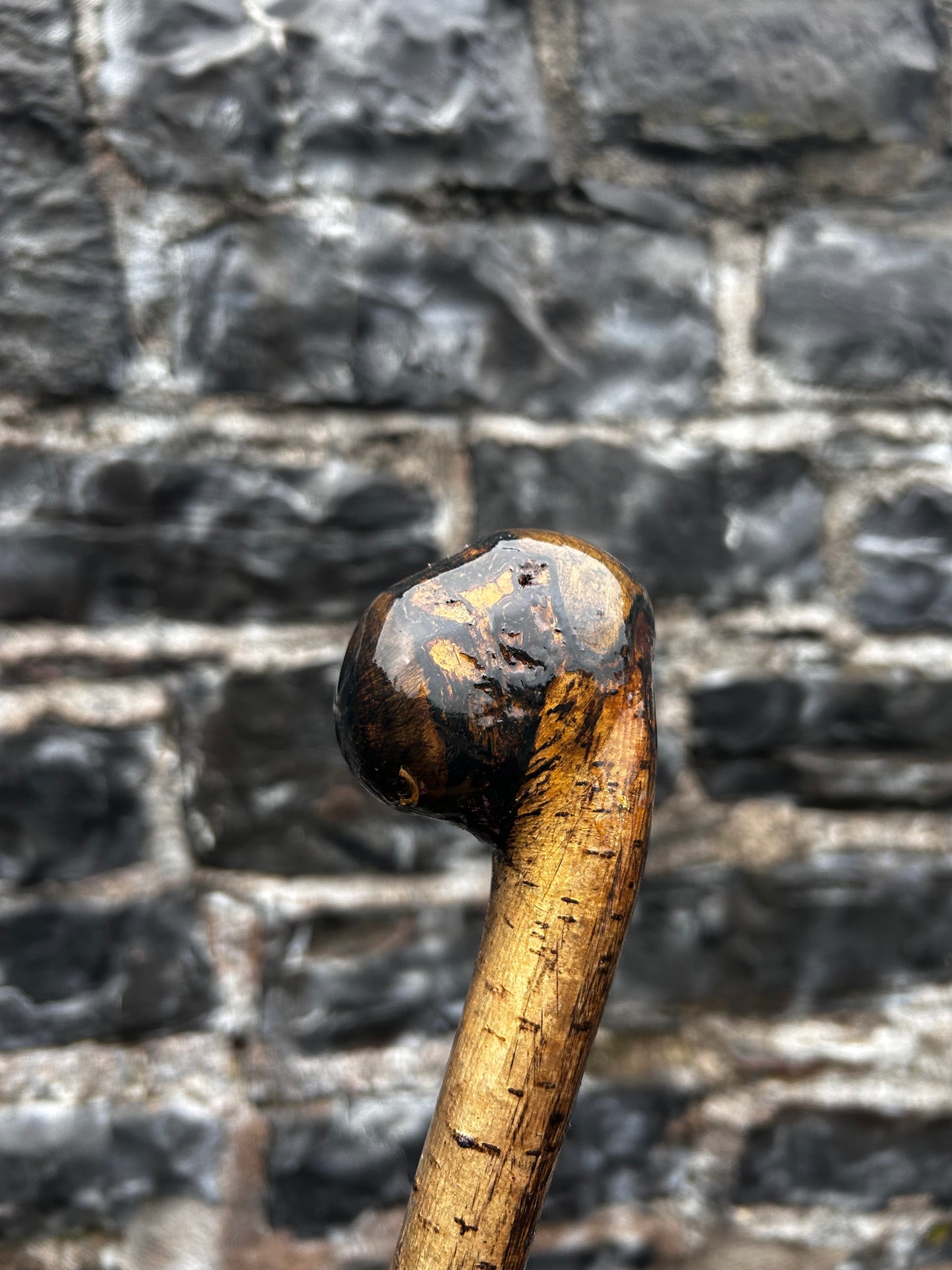 Hazel Walking Stick with Large Dark-Finished Knob Head – 100 cm (39.4”)