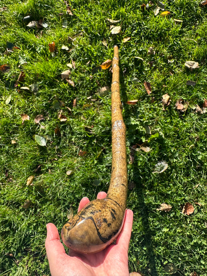 Hazel Walking Stick with Round Handle -  98 cm / 38.6 inches