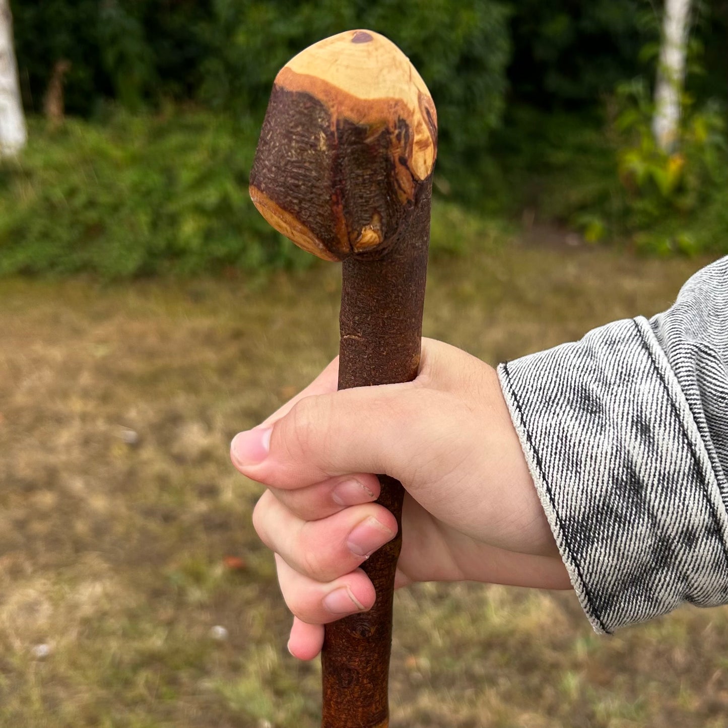 Blackthorn Shillelagh Knob Stick – 95.9 cm (37.8”)