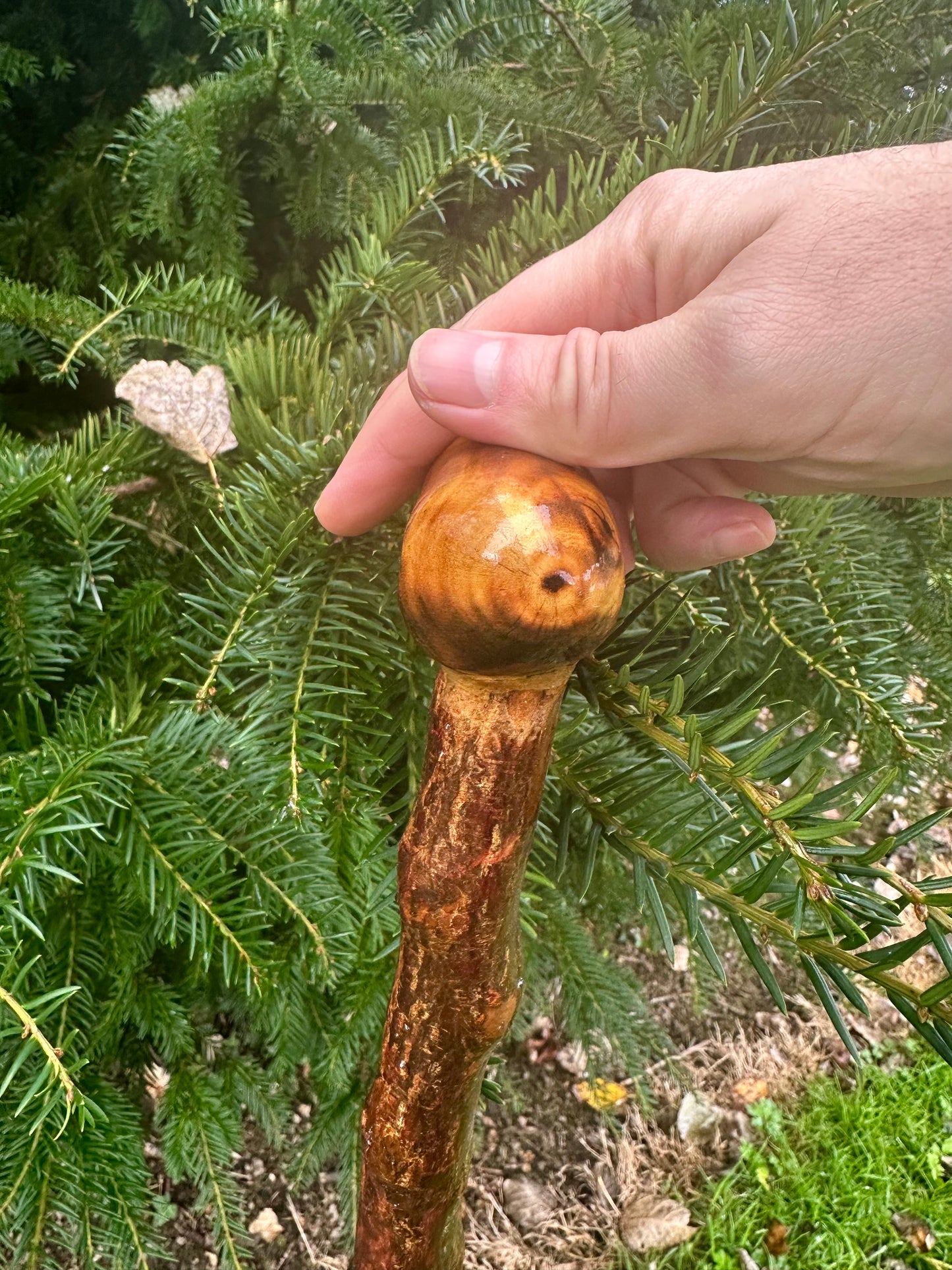 Irish Blackthorn Walking Stick with L Handle – 38”