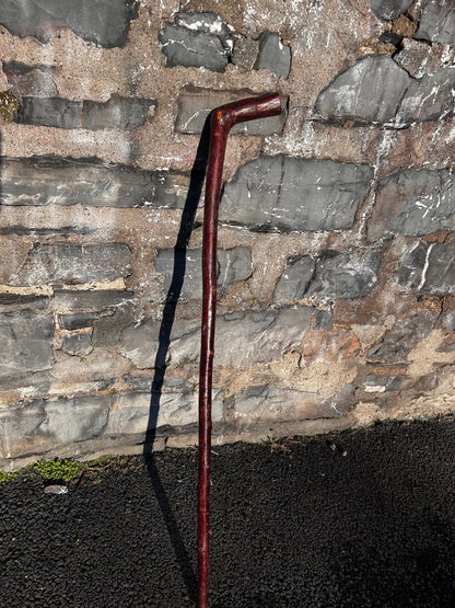 L Handle Blackthorn Walking Stick – 99 cm (39”)