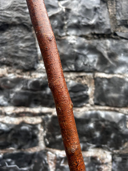 Blackthorn Walking Stick with Small Knob Head – 94 cm (37”)