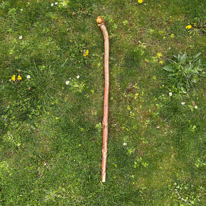 Chunky Hazel Shillelagh Knob Stick – 99 cm (39”)