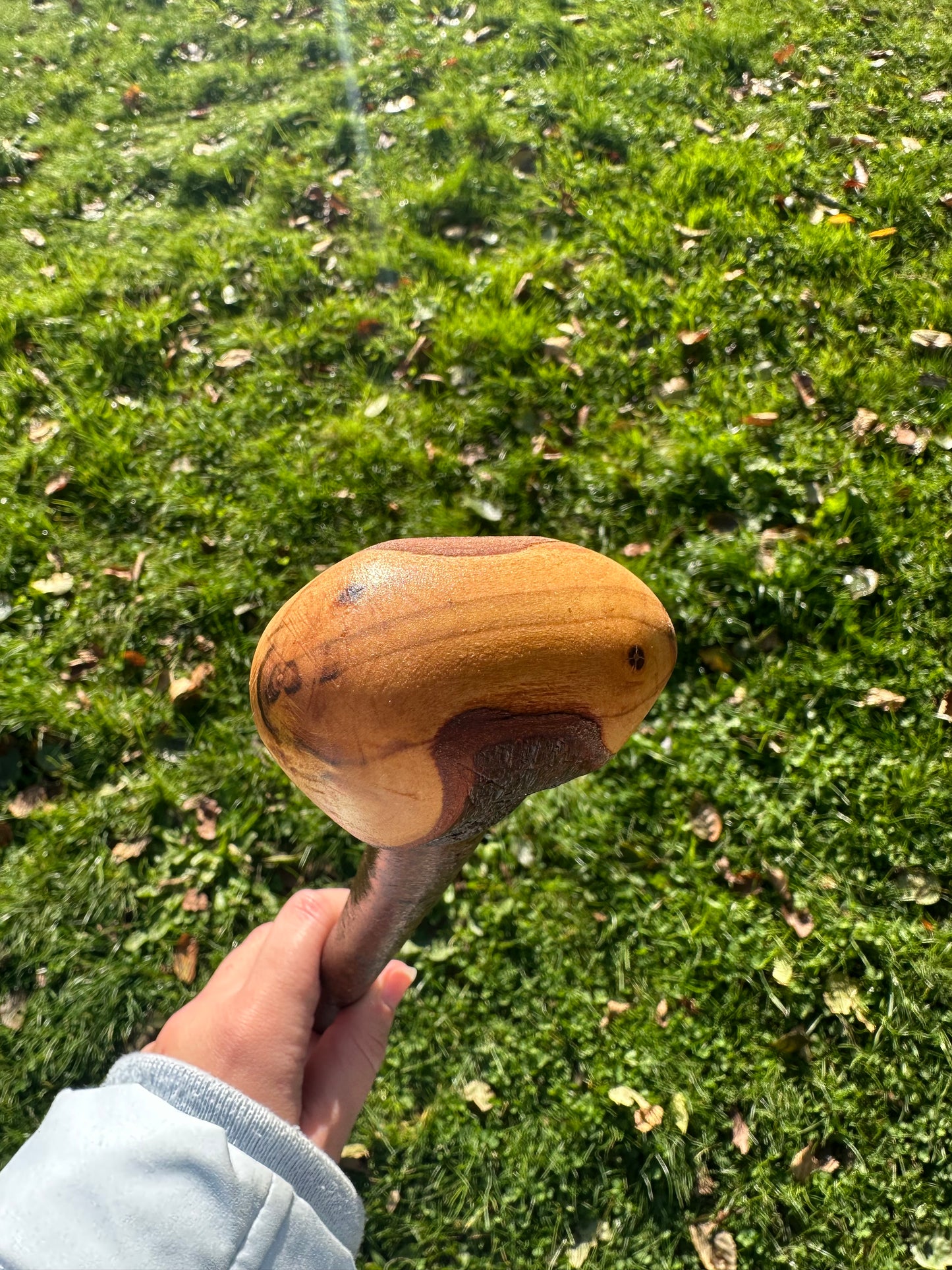 Blackthorn Walking Stick with Round Handle - 96 cm / 37.8 inches