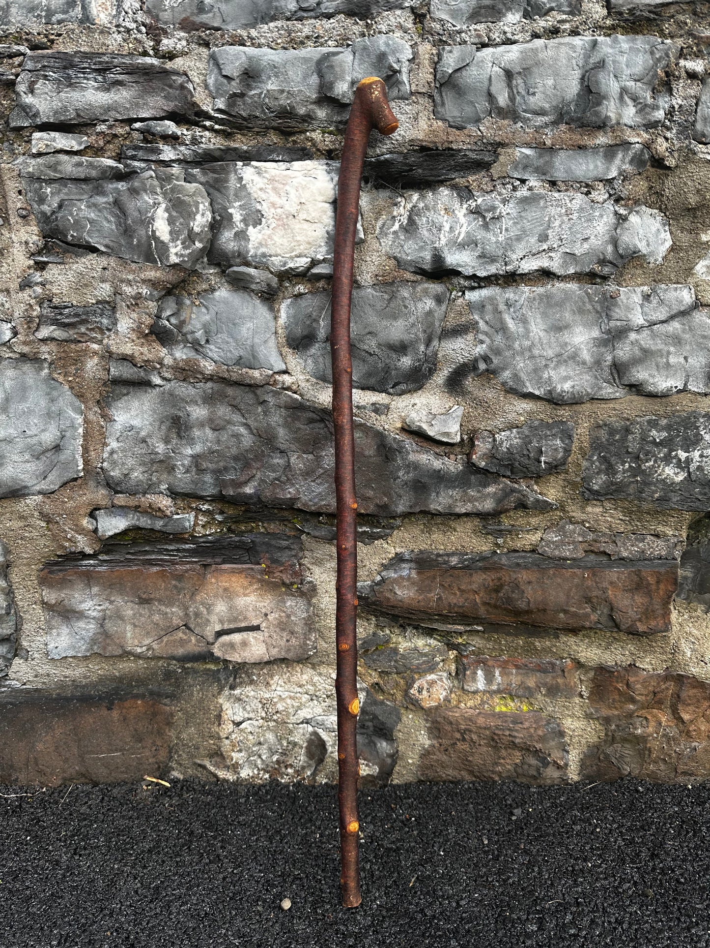 Blackthorn Walking Stick with Small Knob Handle – 98 cm (38.5”)