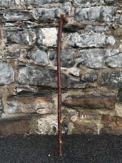 Blackthorn Walking Stick with Small Knob Handle – 98 cm (38.5”)