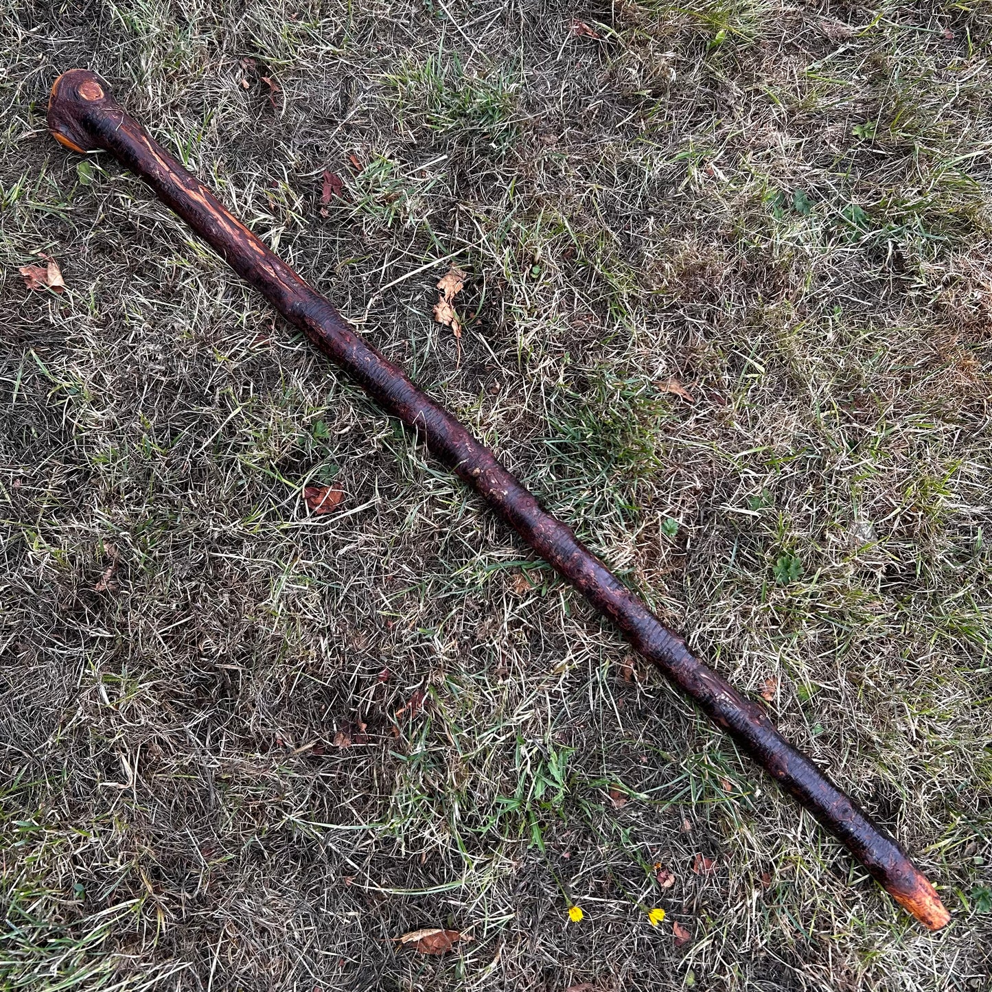 Large Chunky Knob Blackthorn Shillelagh – 93.5 cm (36.8”)