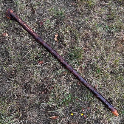 Large Chunky Knob Blackthorn Shillelagh – 93.5 cm (36.8”)