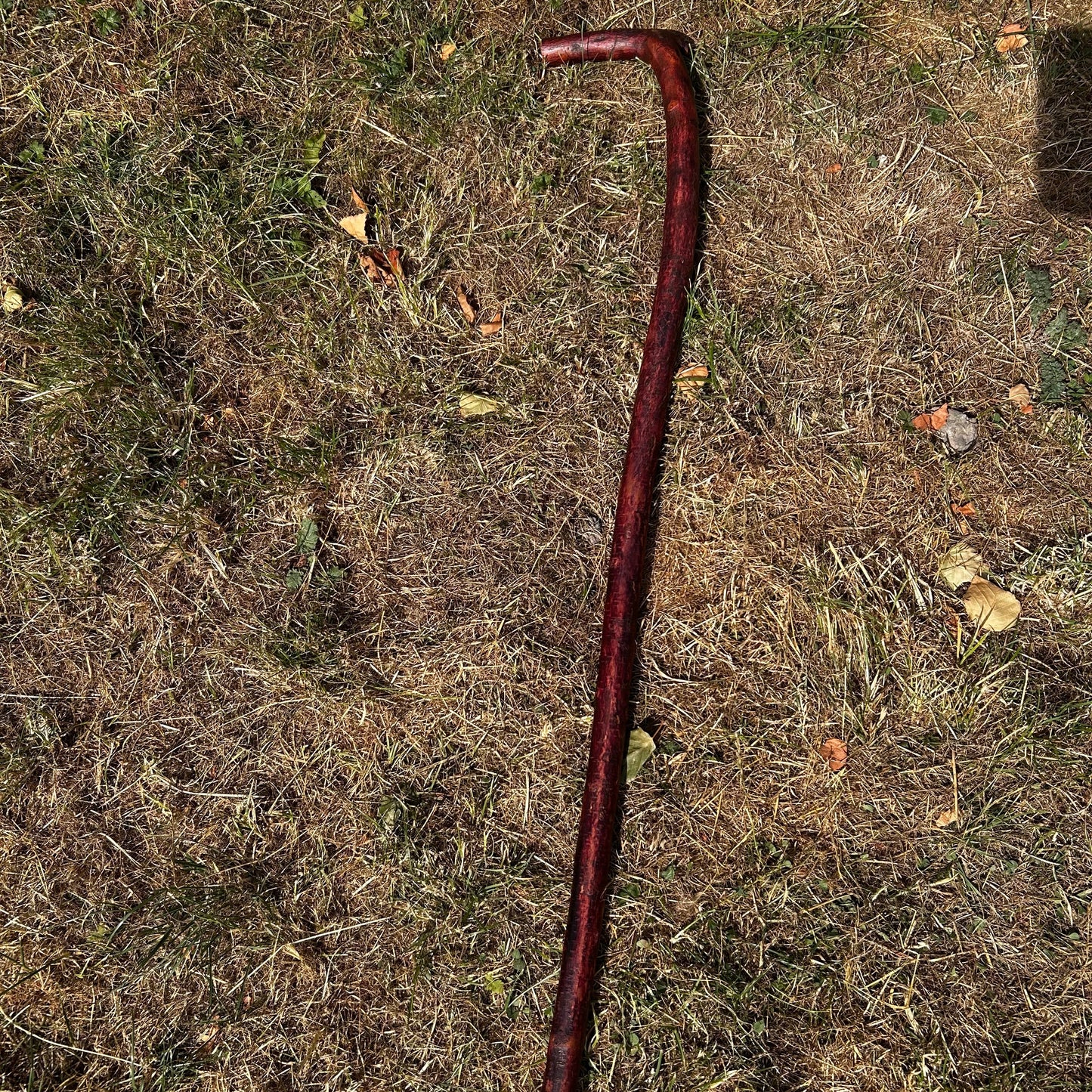 Light Blackthorn Shillelagh L Handle – 91 cm (35.8”)