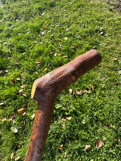 Blackthorn Walking Stick with L Handle - 97 cm / 38.2 inches