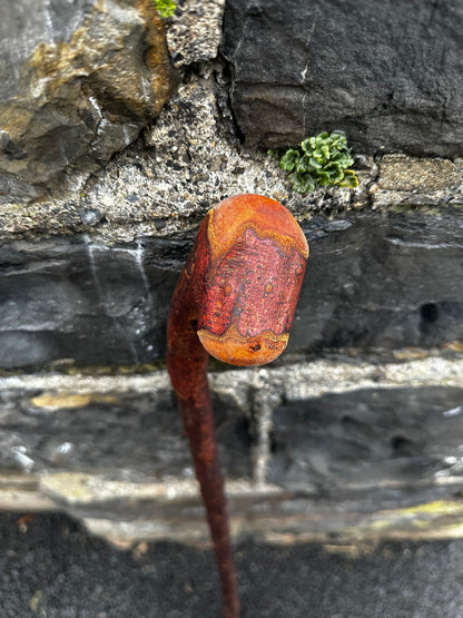 Rustic Blackthorn Hiking Stick with Leaning Head – 105 cm (41.3”)