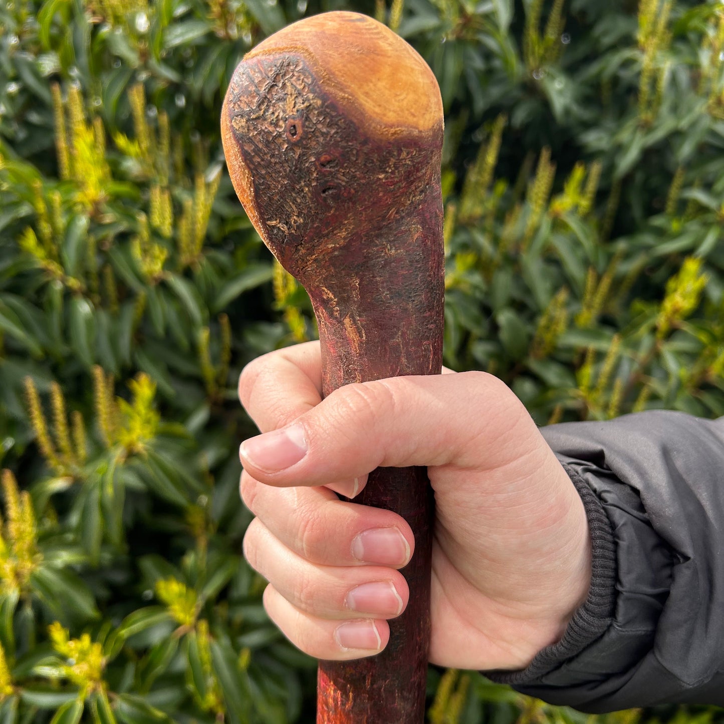 Blackthorn Shillelagh with Small Knob Head – 89 cm (35”)