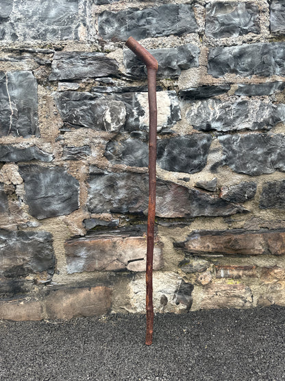 Blackthorn Walking Stick with 45° Handle – 109 cm (42.9”)