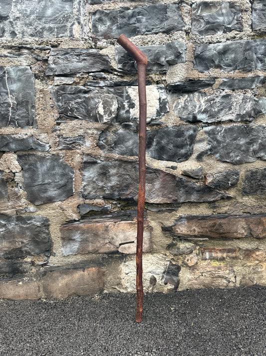 Blackthorn Walking Stick with 45° Handle – 109 cm (42.9”)