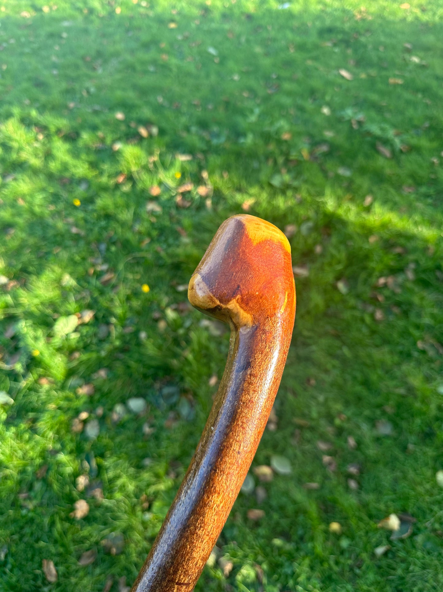 Blackthorn Walking Stick with Grip Handle – 95cm