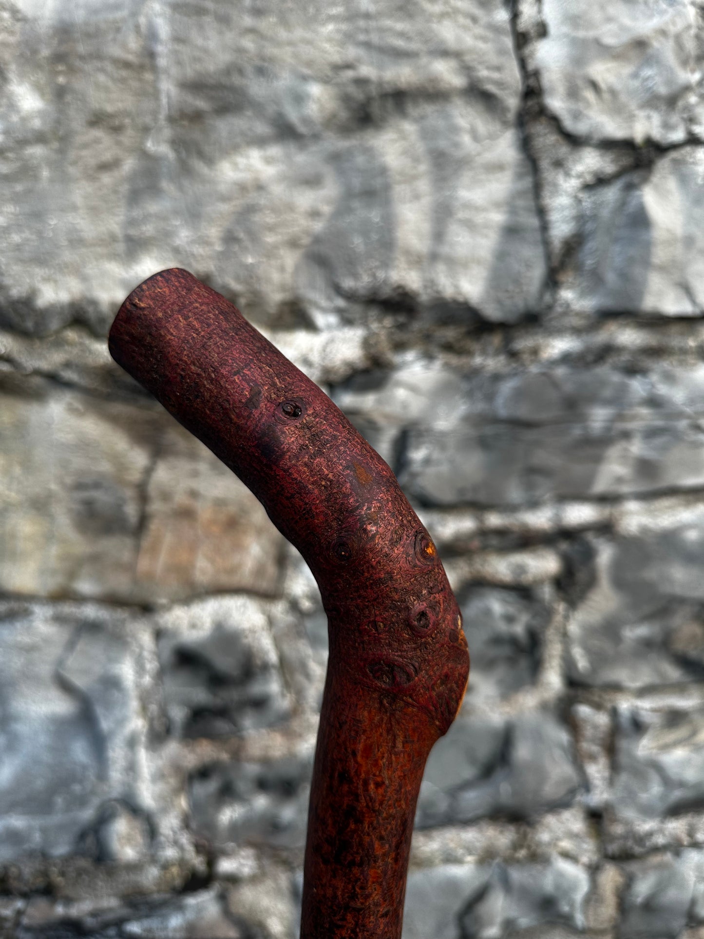 Blackthorn Walking Stick with Sloped L Handle – 97 cm (38.1”)