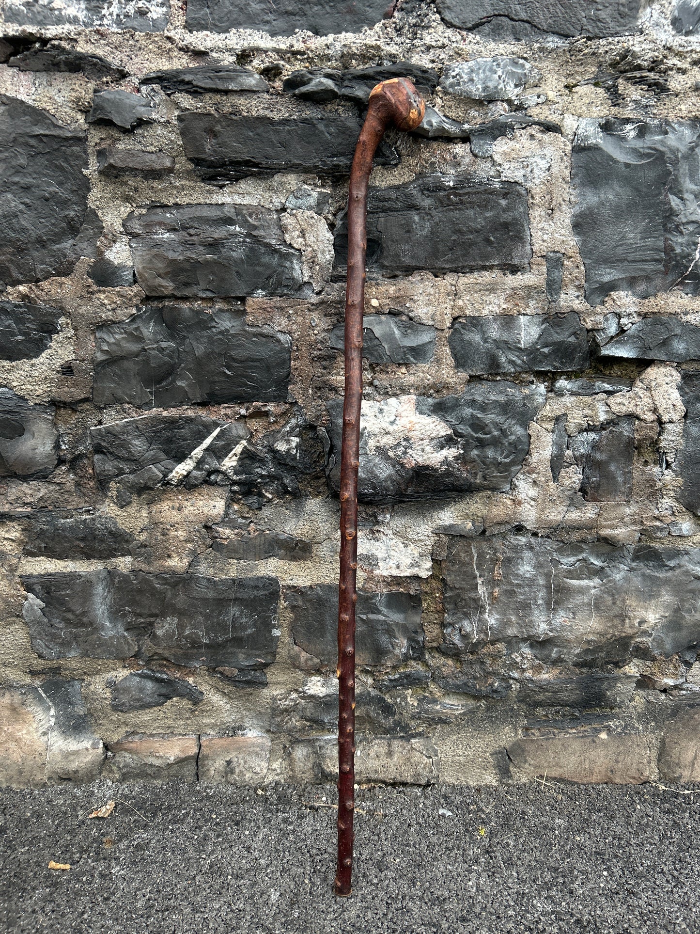Blackthorn Walking Stick with Knob Head – 100 cm (39.4”)