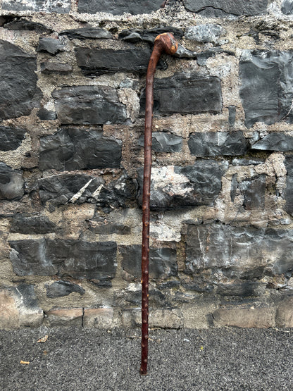 Blackthorn Walking Stick with Knob Head – 100 cm (39.4”)