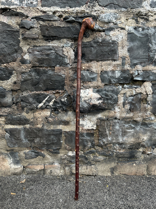 Blackthorn Walking Stick with Knob Head – 100 cm (39.4”)