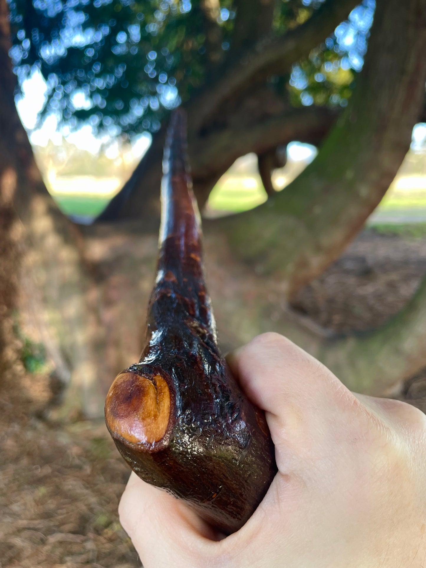 Bumpy Blackthorn walking stick with L Handle