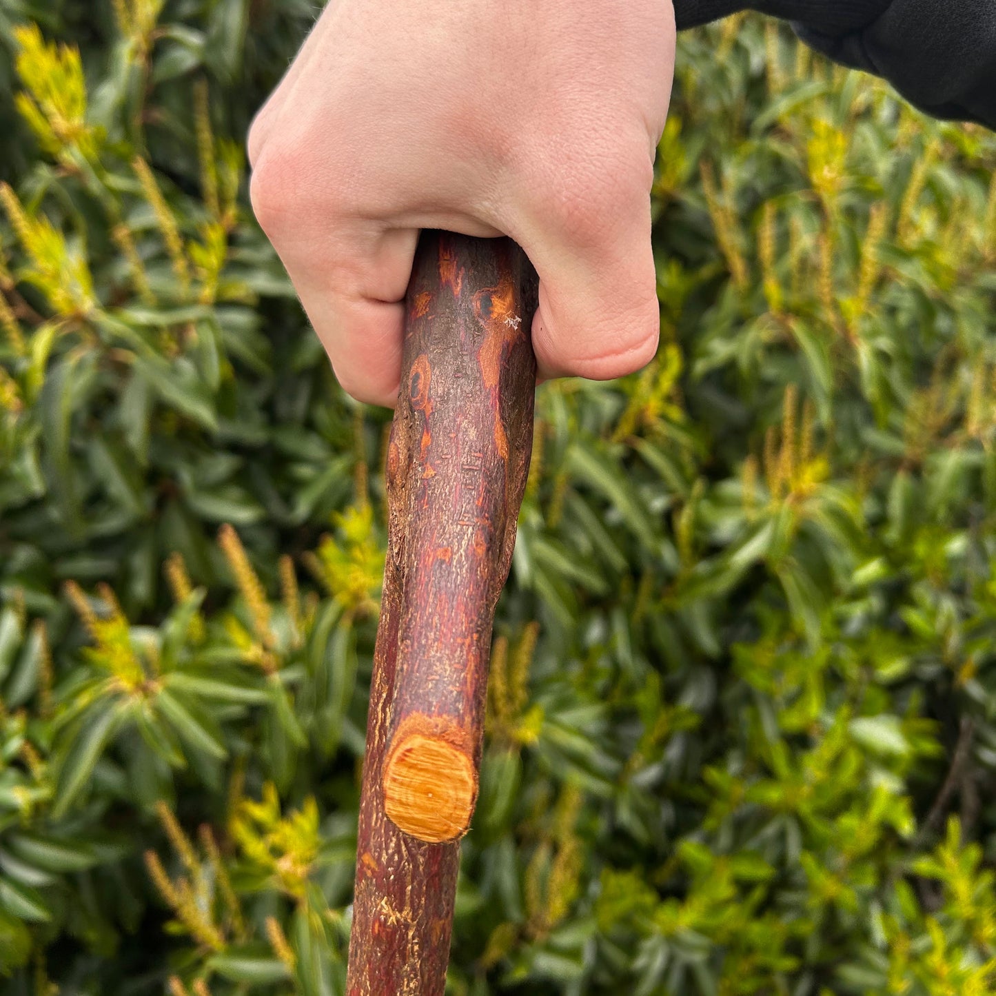 Blackthorn Shillelagh with Sloped L Handle Tail – 102 cm (40.1”)