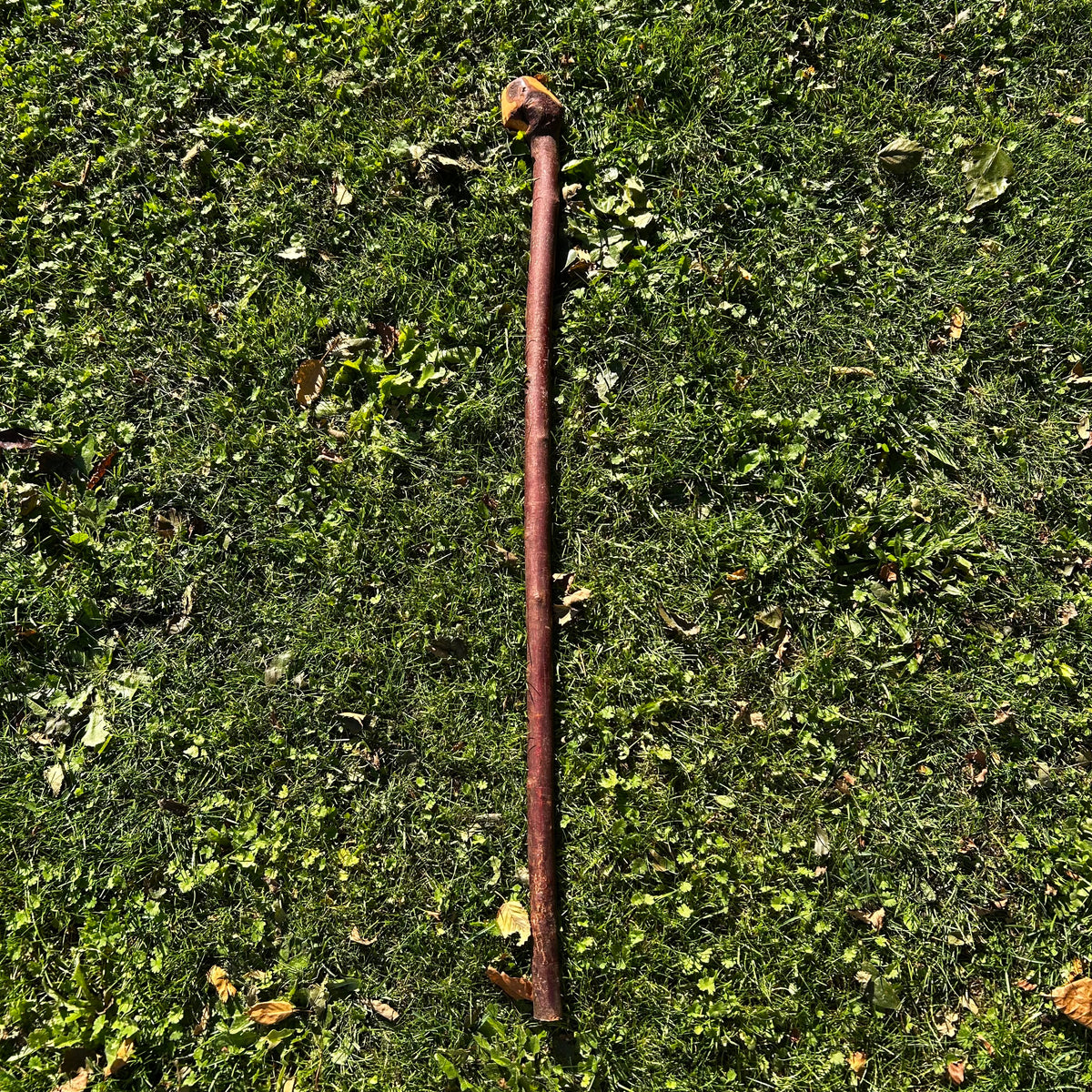 Knarly Root Ball Blackthorn Shillelagh – 92 cm (36.2”)