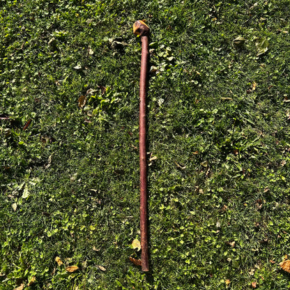 Knarly Root Ball Blackthorn Shillelagh – 92 cm (36.2”)