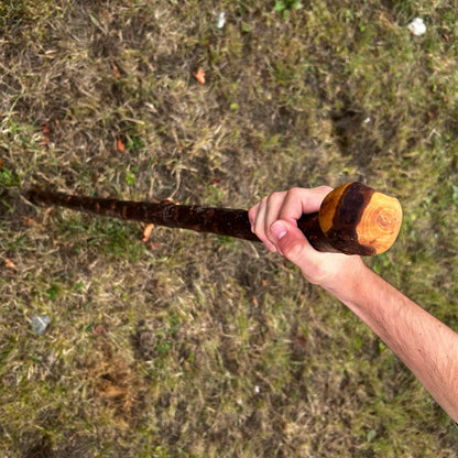 Chunky Blackthorn Shillelagh Knob Stick – 92.7 cm (36.5”)