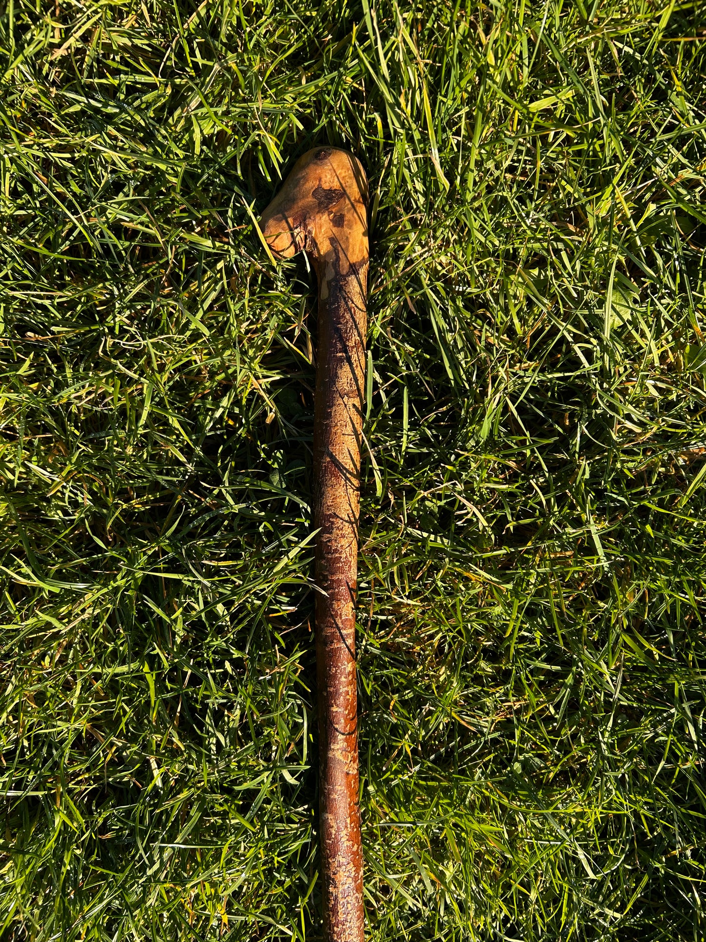 Hazel Knob Walking Stick – 106 cm / 42 inches