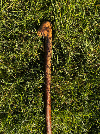 Hazel Knob Walking Stick – 106 cm / 42 inches