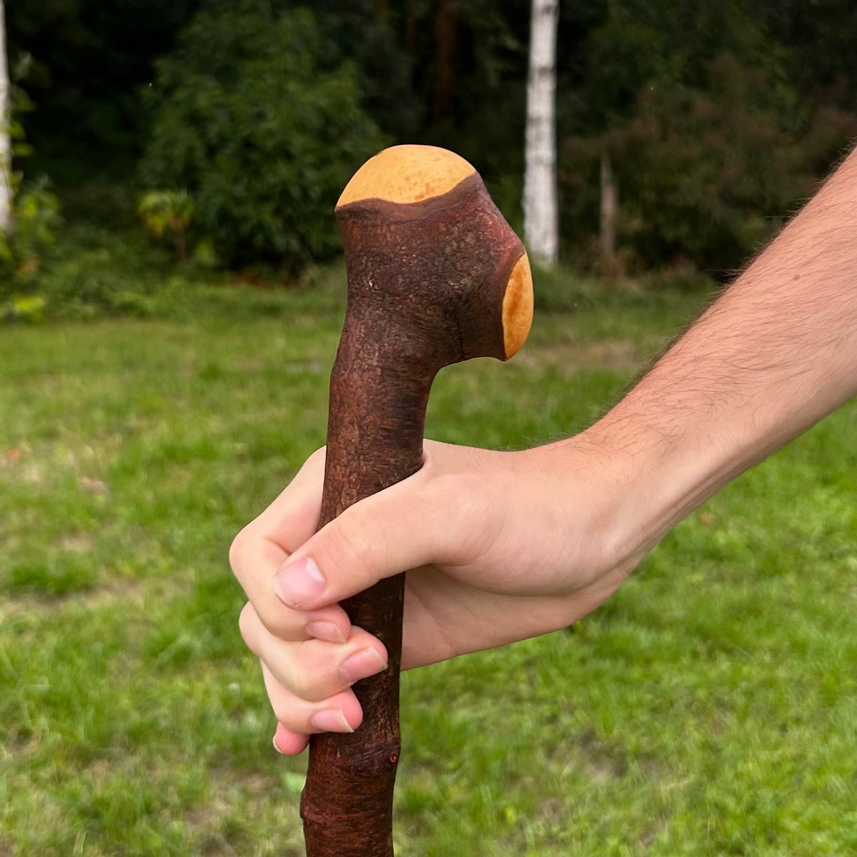 Rustic Blackthorn Shillelagh Thumb Rest Knob Stick – 100 cm (39.4”)